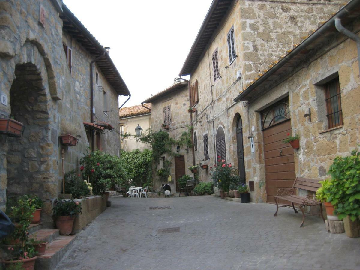 La Giuliva Di Pianiano Apartman Cellere Kültér fotó